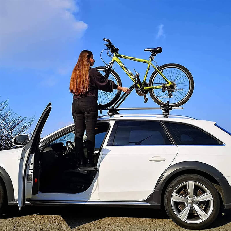 Multifunctional Car Door Step