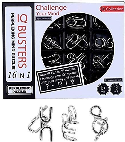 Brain Teaser  IQ Test Metal  Puzzle Toy